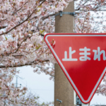 5 Reasons Why Japanese Is One of the Easiest Languages to Learn