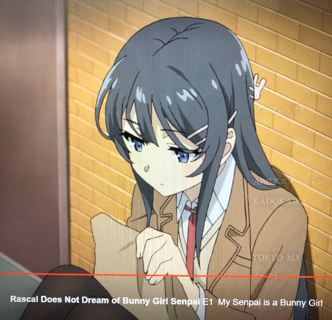 The Importance of Seasons — Bunny Girl Senpai