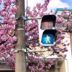 Why are Traffic Lights Blue in Japan?