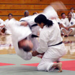 Karate Exhibition and Tournament at the 64th Annual Nisei Week in the Terasaki Budokan