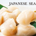 Japanese Scallop Promotion Seeking Participating Restaurants
