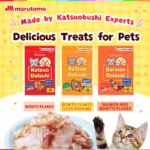 【11/16】Free sample at Tokyo central Gardena!　Marutomo’s delicious treats for pets, “Daisuki” Series