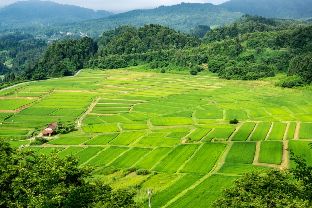Yamagata