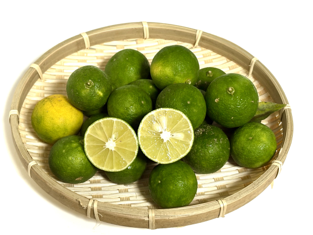 sudachi