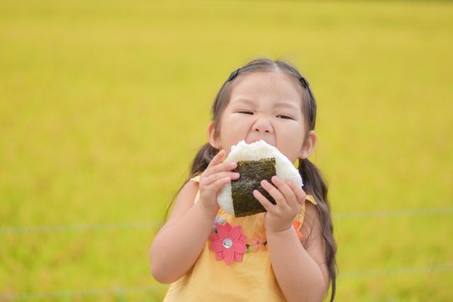 bakudan onigiri giant rice ball michi no eki Japan